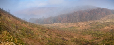  BGF2096  BGF2099-4 i